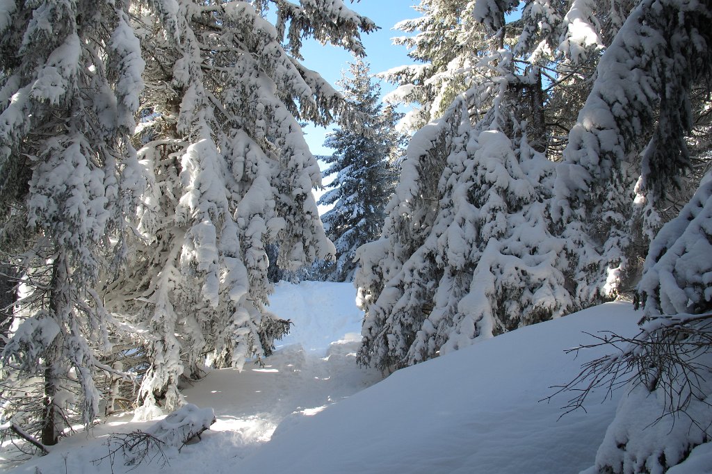 07 so schoen kann Winter sein.JPG